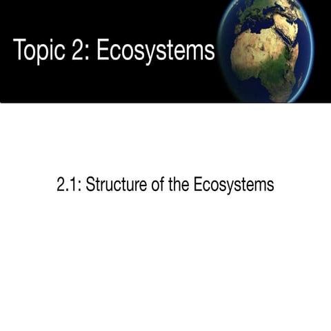 Structure of Ecosystems | PPT
