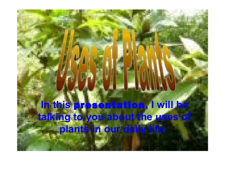 Uses Of Plant