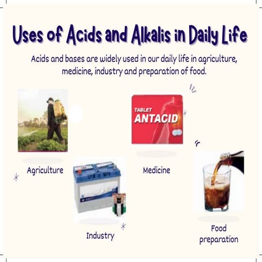 Uses of acids and alkalis in daily life PPT