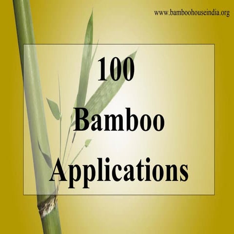 100 Bamboo Applications