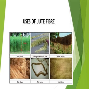 Manufacturing jute fibres and there uses