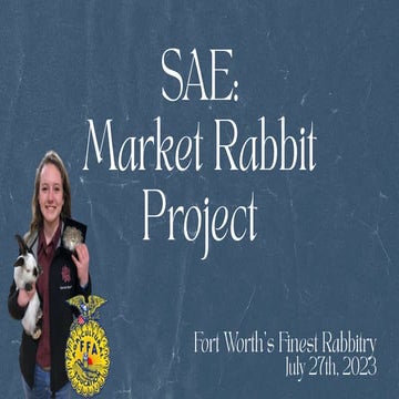 Commercial Rabbit Farming practices in india | PPTX