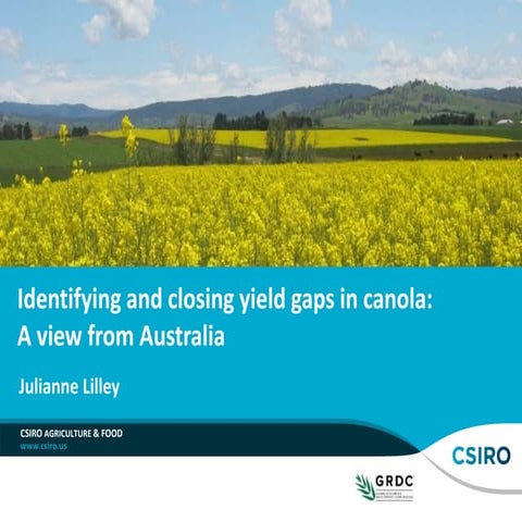 Identifying and closing global yield gaps in canola. A view from Australia