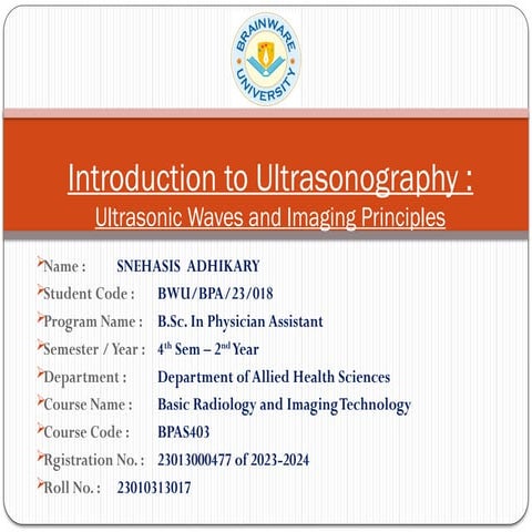 USG principle, USG type, different probes etc