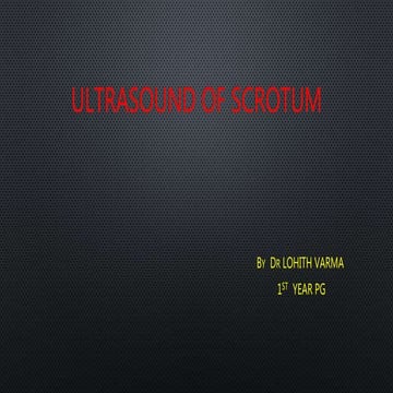 ULTRASOUND SCROTUM