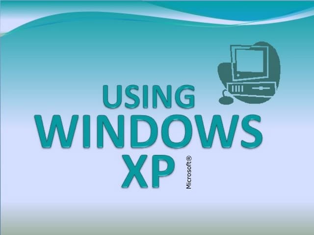 Using Windows XP