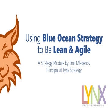 Using Blue Ocean Strategy to Be Lean & Agile