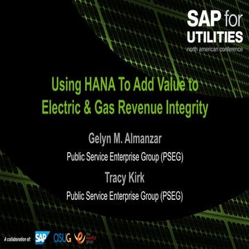 Using hana to add value to electric & gas revenue integrity