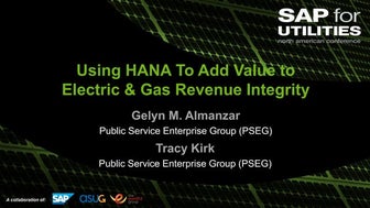 Using hana to add value to electric & gas revenue integrity