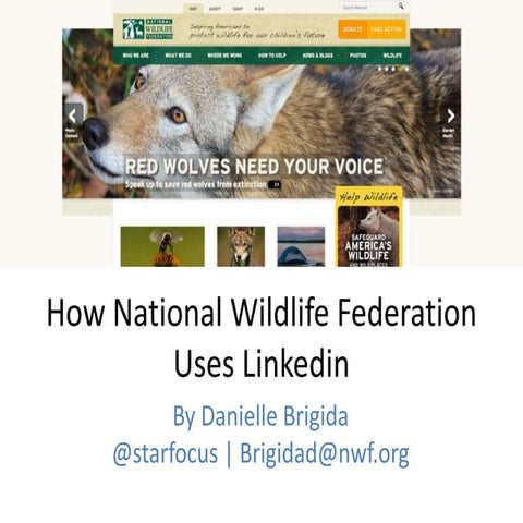 How National Wildlife Federation Uses Linkedin
