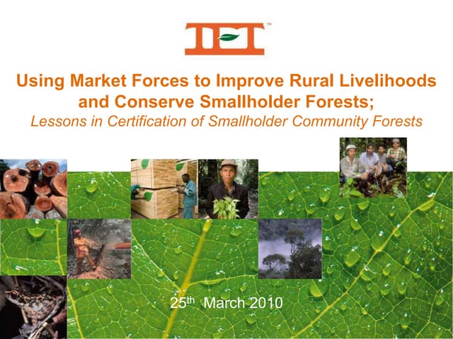 Using market forces to improve rural livelihoods and conserve smallholder forests   lessons in certification of smallholder community forests