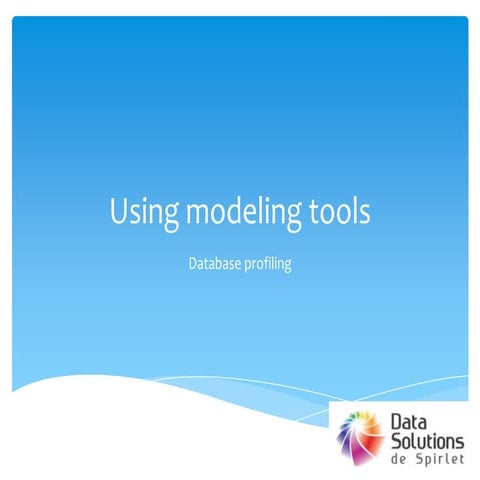 Using modeling tools  data profiling powerdesigner data solutions de spirlet