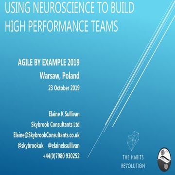 Using neuroscience to build high performance teams - Elaine Sullivan