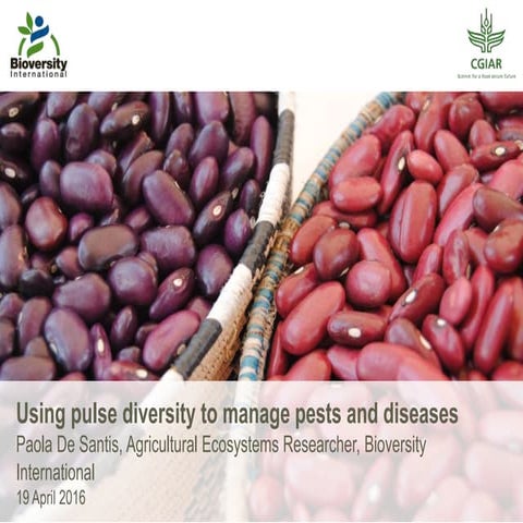 Using pulse diversity to manage pests and diseases 