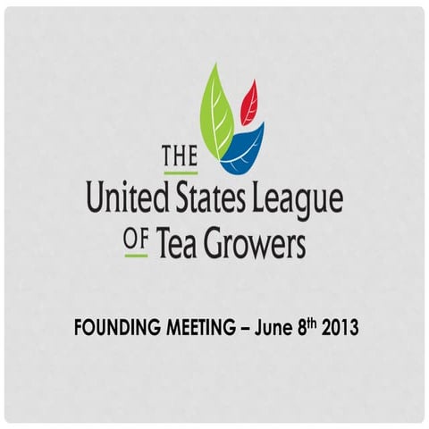 Tea program template | DOCX