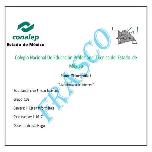 Uso adecuado de internet