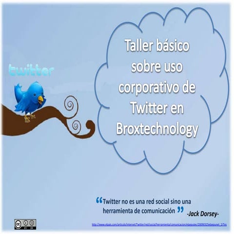 Conceptos basicos twitter