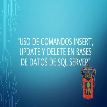 Uso de comandos INSERT, UPDATE y DELETE en bases de datos de SQL Server ...