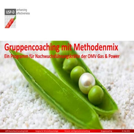 USP-D Gruppencoaching mit Methodenmix
