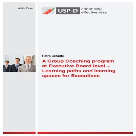USP-D White Paper "A Group Coaching program at Executive Board level"