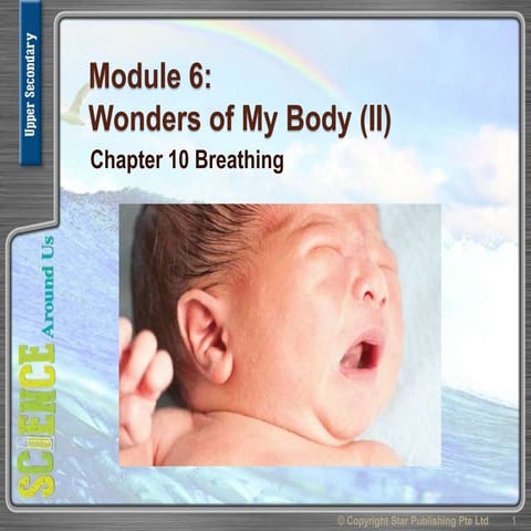 Uss module 6 chpt 10 Breathing