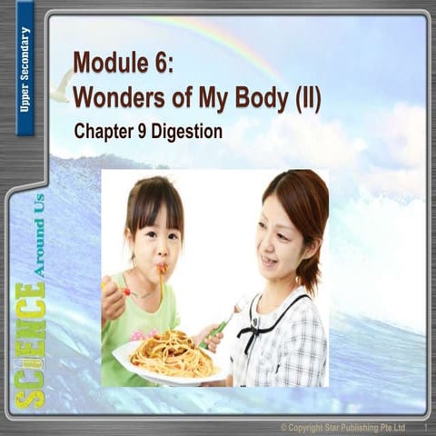 Uss module 6 chpt 9 Digestion