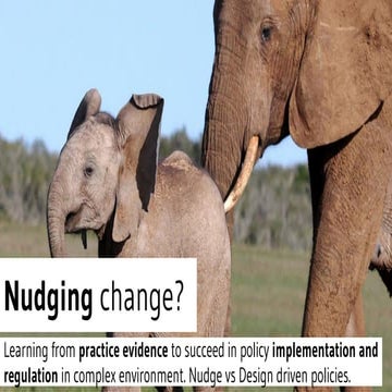 Nudge theory.pptx