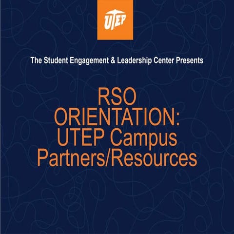 RSO Expectations | PPTX