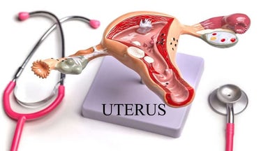 UTERUS_Nursing.pptx
