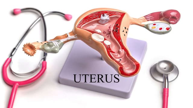 UTERUS_Nursing.pptx