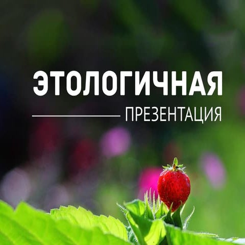 Этологичная презентация
