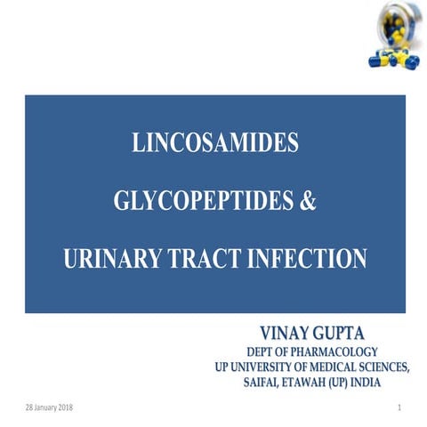 Lincosamide, Glycopeptides & UTI