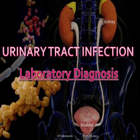 urinary tract infections-Lab diagnosis (e.coli, klebsilla, proteus, pseudomonas)