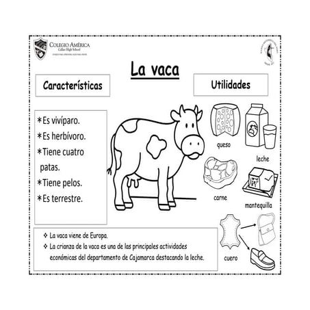 UTILIDADES DE LA VACA - MIS MARÍA CRISTINA DELGADO TORRES