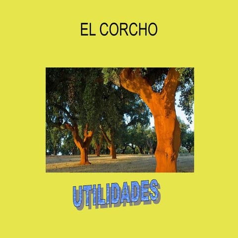 Utilidades del corcho