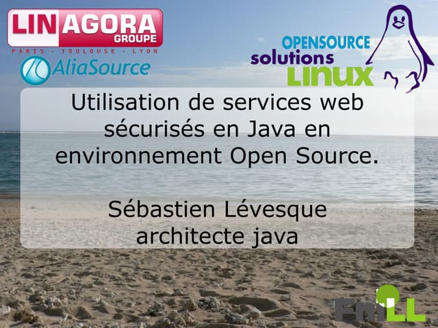 Utilisation de services Web sécurisés en Java en environnement Open Source