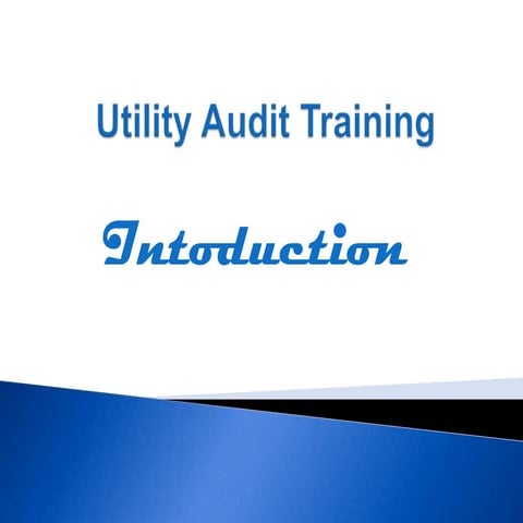 Utility Audit Training