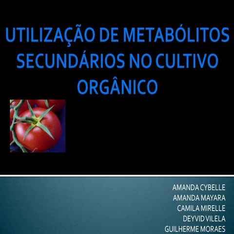 absoluto-bula-1.pdf