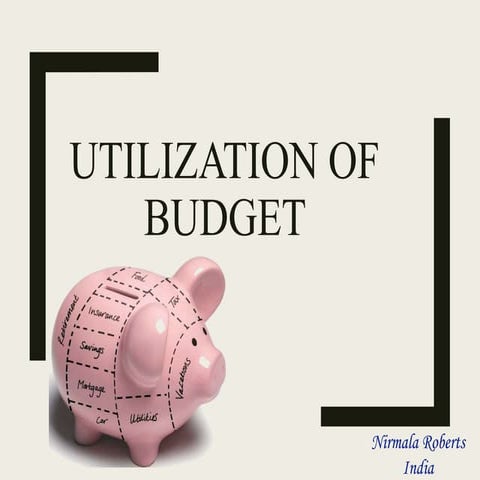 Utilisation of budget .pptx