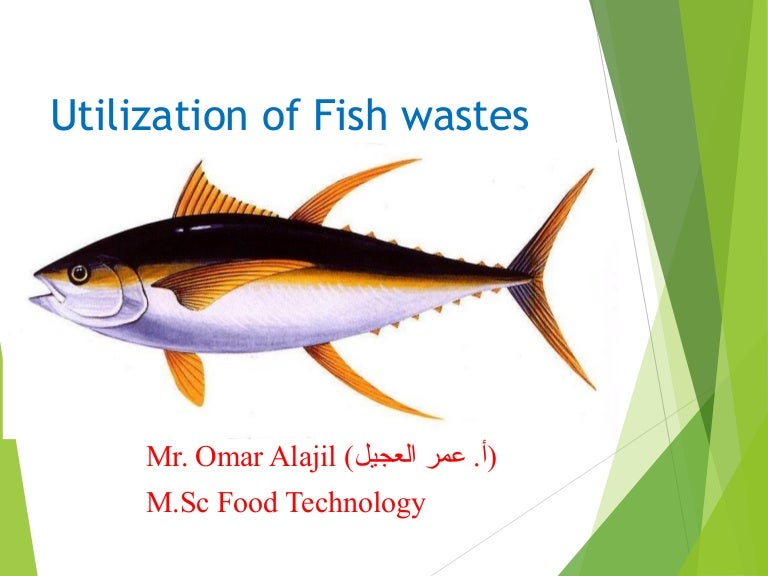 Utilization of fish wastes