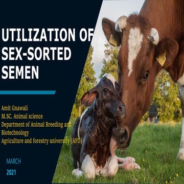 Utilization of sexed semen