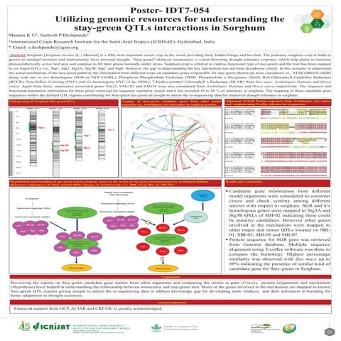 Utilizing genomic resources for understanding the stay-green QTLs interaction...
