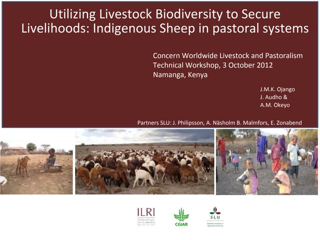 Utilizing livestock biodiversity to secure livelihoods: Indigenous sheep in pastoral systems