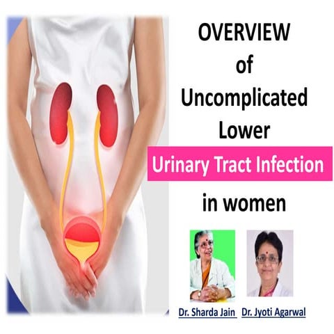 OVERVIEW  of Uncomplicated Lower Urinary Tract Infection in women  Dr Sharda ...