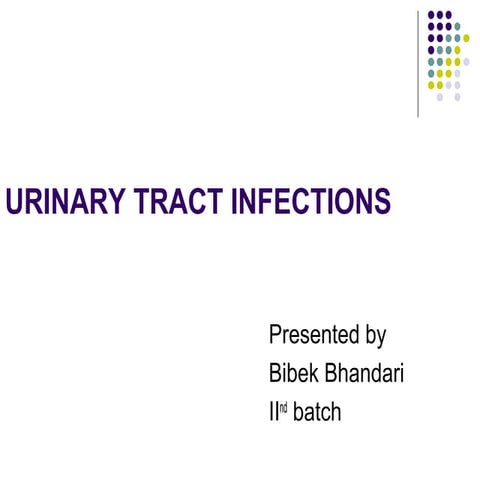 Urinary Tract Infection (UTI)