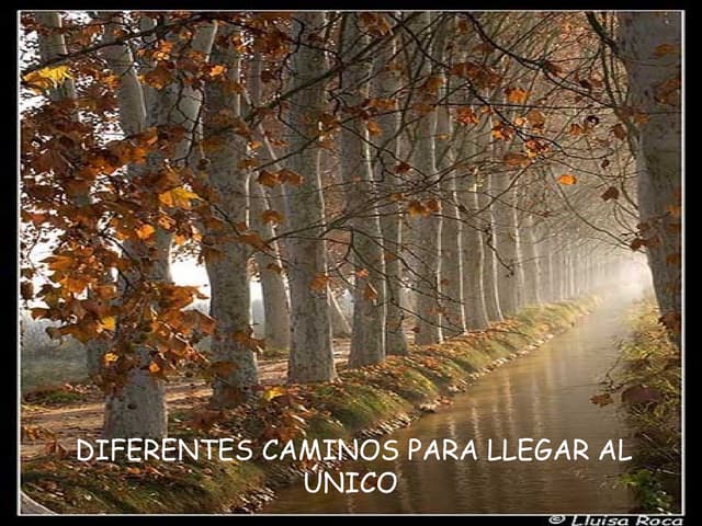 Utpl Diferentes Caminos