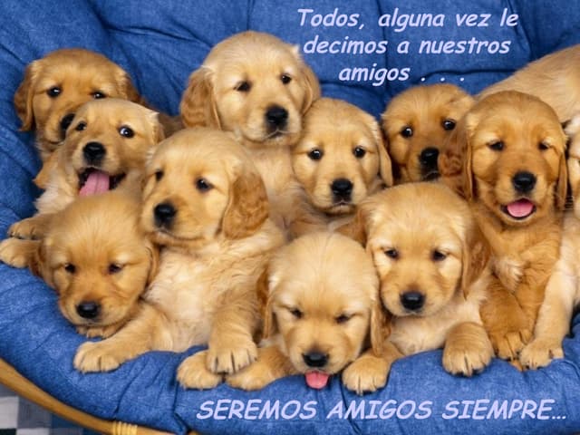 Utpl Es Para Ti
