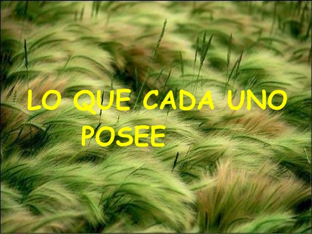 Utpl Lo Que Cada Uno Posee