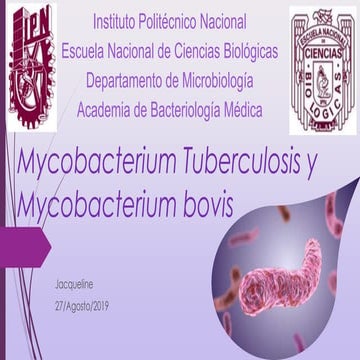 M. tuberculosis y m. bovis 