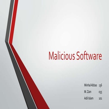 Malicious software group 24